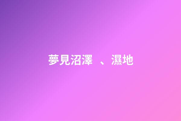 夢見沼澤、濕地